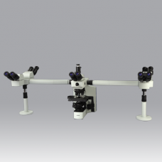 Five Head Trinocular Teaching Microscope Model : Optima Pentex